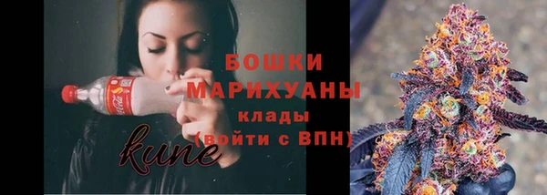 дживик Мегион