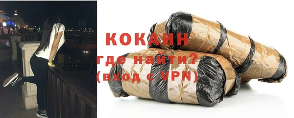 дживик Мегион