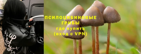 меф Медвежьегорск