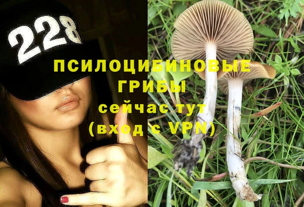 меф Медвежьегорск