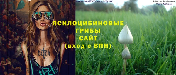 дживик Мегион