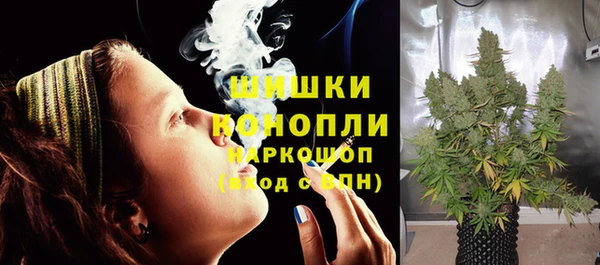 дживик Мегион