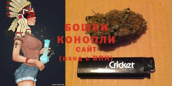 дживик Мегион