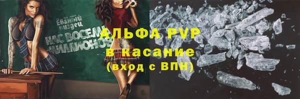 дживик Мегион