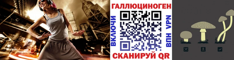 Купить где  Ахтырский  Псилоцибиновые грибы Psilocybine cubensis 